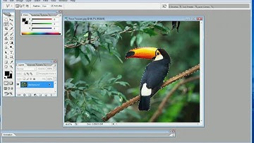 How to crop a picture in to Adobe Photoshop CS2