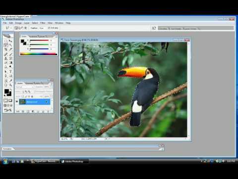 How to crop a picture in to Adobe Photoshop CS