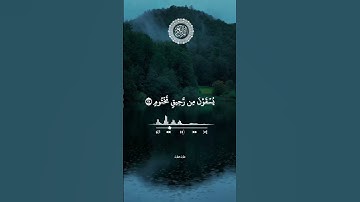 #تلاوات_مطرف_المطرف #تلاوة_خاشعة #ايات_قرانيه_قصيره #اكسبلور #ترند_السعودية #شورتات #السعودية #لايك