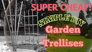 #diyproject Climbing garden trellis CHEAP