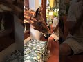 la yegua más ladrona que hay 😱😱😱😱😱😱😱