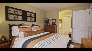 🔥 YOUR HIGHLANDS RANCH OASIS AWAITS! | 10311 Sedge Grass Way Tour 🔥