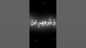 محمد رسول الله ياسر الدوسري تلاوه خاشعه #المصحف #اكسبلور #لايك #الرحمن #تيك_توك #دويتو #راحة_نفسية