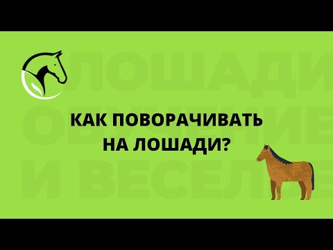 Как сделать поворот на лошади?