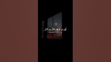 ماتيسر من سوره (الزمر) #قران_كريم#ياسر_الدوسري