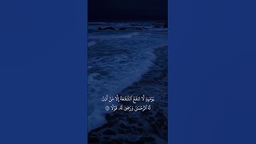 وَخَشَعَتِ ٱلۡأَصۡوَاتُ لِلرَّحۡمَٰنِ فَلَا تَسۡمَعُ إِلَّا هَمۡسٗا | القارئ شريف مصطفى | سورة طه