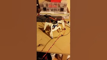 Mini Hexapod Walking Test