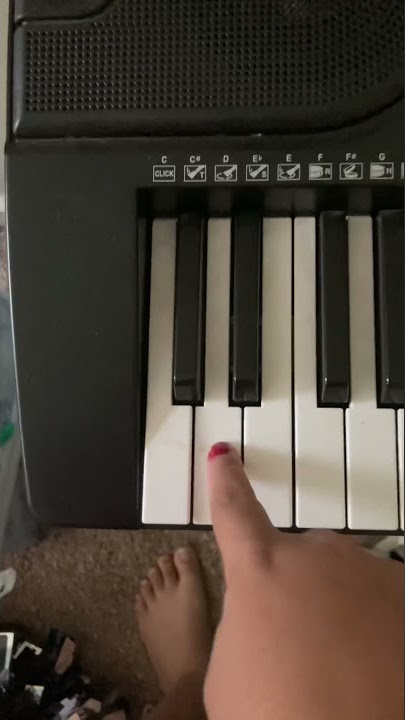 How to play Mary had a little Lamb on a keyboard with my crazy family in Alana￼ Georgia￼￼