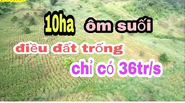 #đấtrẻđăknông# 10ha đất ôm suối 4ha điều đất trống, quảng tâm tuy đức đăk nông 36tr/s
