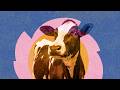 Food futures | LSE Festival