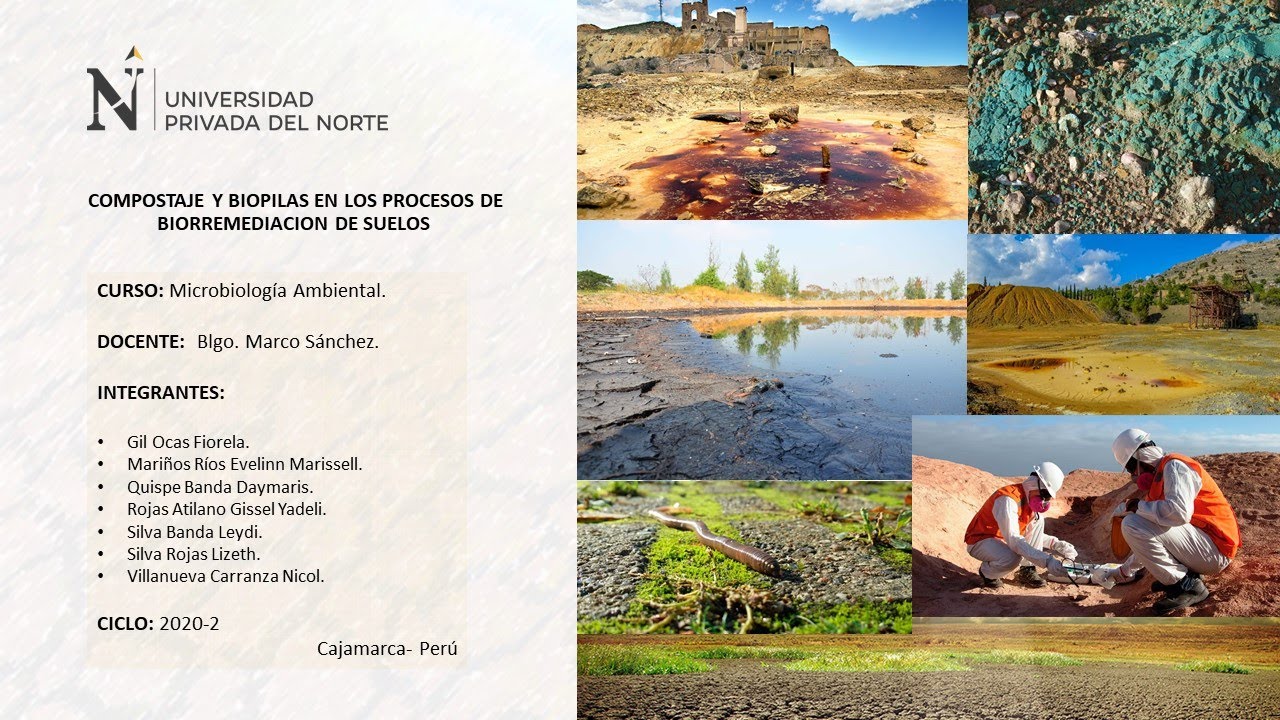 TECNICAS DE COMPOSTAJE Y BIOPILAS EN LOS PROCESOS DE BIORREMEDIACION ...