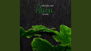 Brook Rain