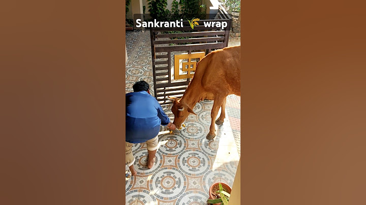 🌾My first Sankranti 🩷#trending#shorts#sankranthi#family#love#youtubeshorts#viralvideo#nature#funny