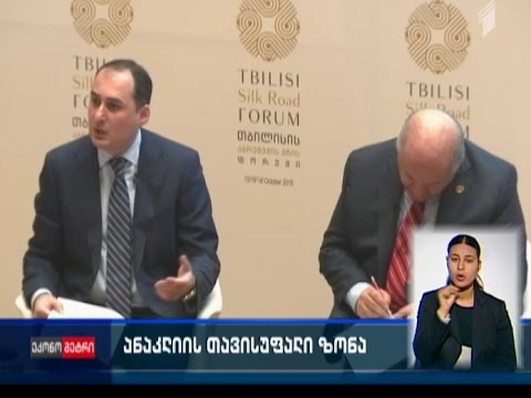 ანაკლიის თავისუფალი ზონა