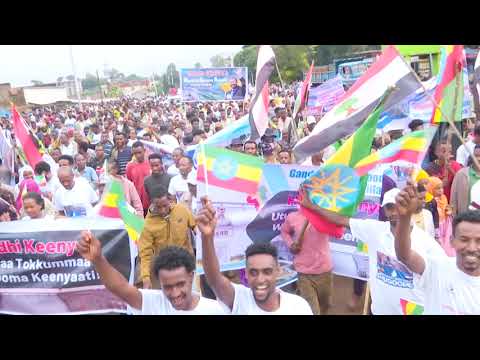 Hiriira Deeggarsaa HHGI Buunnoo Beddellee