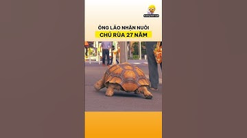 Ông lão nhận nuôi chú rùa 27 năm