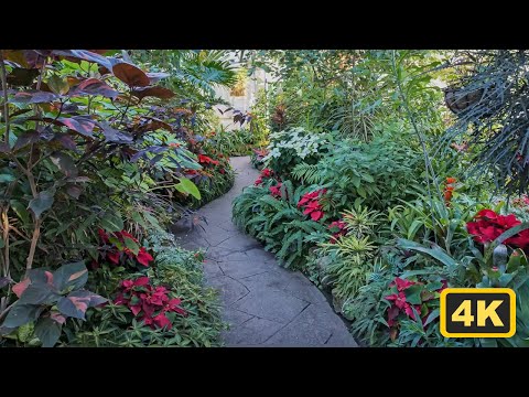 Vídeo: Toronto Botanical Garden: O Guia Completo