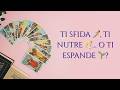 Questa relazione ti sfida 🗡️, ti nutre 🥂… o ti espande? 🌱- Scegli i tarocchi