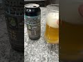 Stacks on Stacks IPA from Idiom Brewing • POV Beer Review