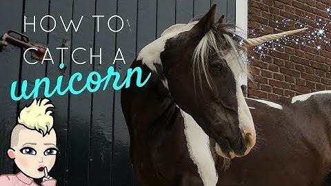 How to catch a unicorn