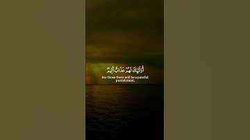القارئ الشيخ د.هاشم ابو دلال✨
