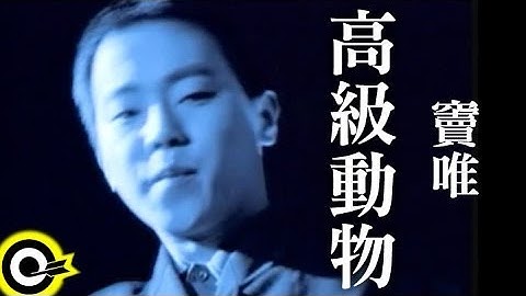 Thumbnail of 竇唯 Dou Wei【高級動物 The higher being】Official Music Video