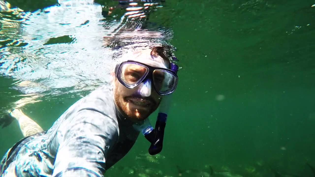 Snorkeling at The Cove, Cottesloe Reef, Perth, WA YouTube