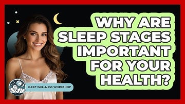 Why Are Sleep Stages Important For Your Health? - Sleep Wellness Workshop
