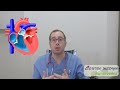 ¿Que es un soplo cardiaco? ¿Por qué los latidos causan dos tonos ("pum-pum")?