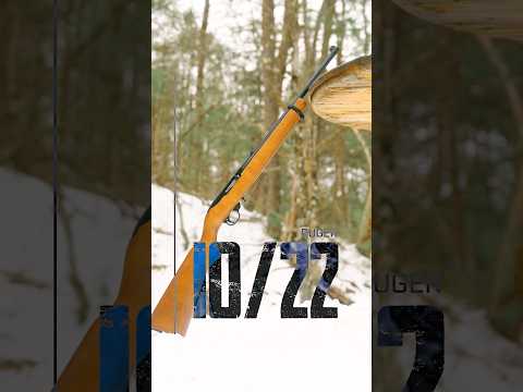 Everyone Loves This Gun (Ruger 10/22)