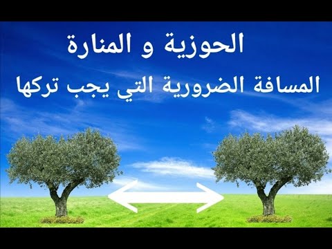 الحوزية و المنارة المسافة الضرورية التي يجب تركها شجرة الزيتون