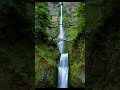 SARAH YASEEN WIT TARJAMA ❣️❣️❣️ #short #viralvideo #quran viral