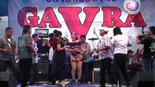 Download lagu Gavra Pendusta Gavra Pendusta