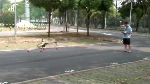 T-REX 600 ESP first hover