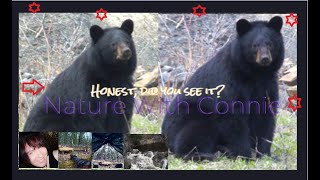 Wildlife Woman Solo Hikes Mountain Lake by Waterfalls|#animals #outdooradventures #shelter #nature