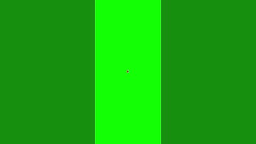 TikTok Loading Animation [Green Screen Template]