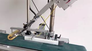 Pals top labelling machine