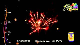 СП0800706