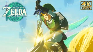 Zelda: Tears of the Kingdom - Link retrieves the Master Sword @ 4K 60ᶠᵖˢ ✔ screenshot 3