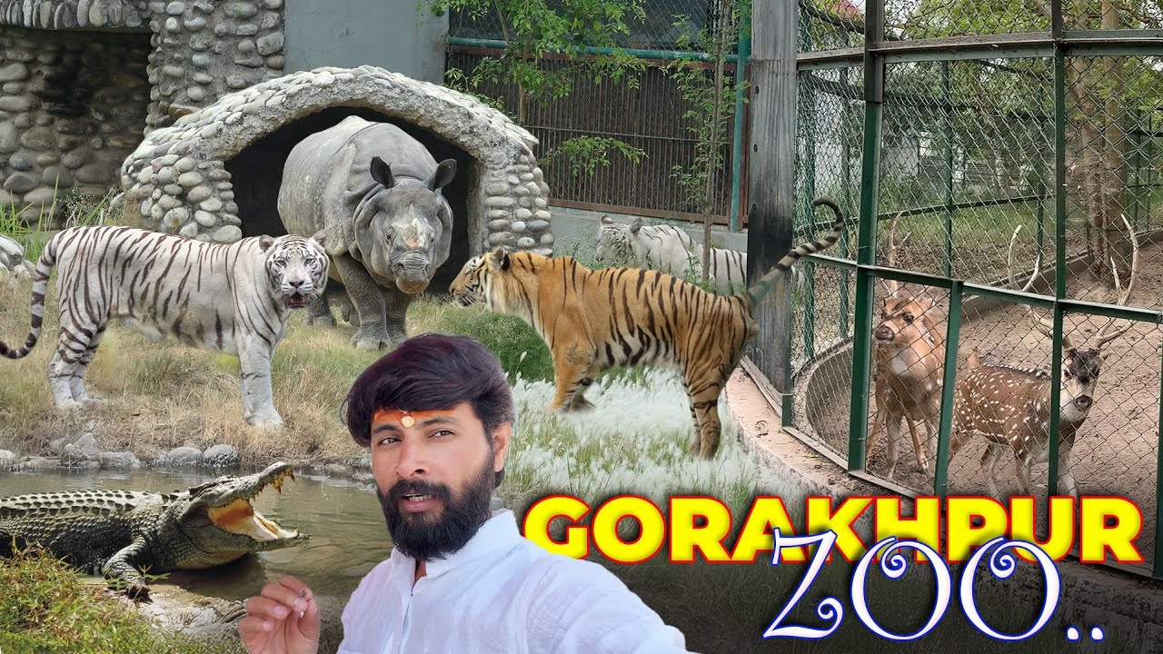 जब चिड़ियाघर में हुए खतरनाक जानवरों का सामना! खतरनाक जानवरों के साथ एक अद्भुत अनुभव!👀 Gorakhpur Zoo