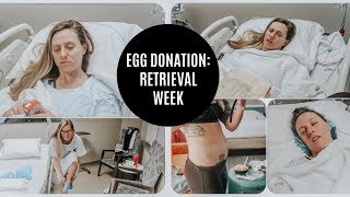 DONATING MY EGGS: Retrieval week || appt's, travel & procedure