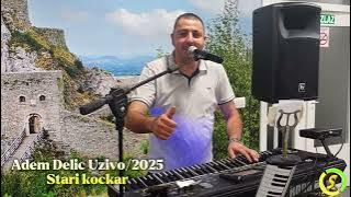 Adem Delic - Stari kockar Uživo/2025