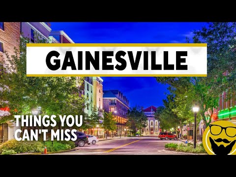 Things You Can't Miss in Gainesville, Florida // Visitor Guide 2022