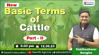 Livestock Production Basic Terms Of Cattle Part 2