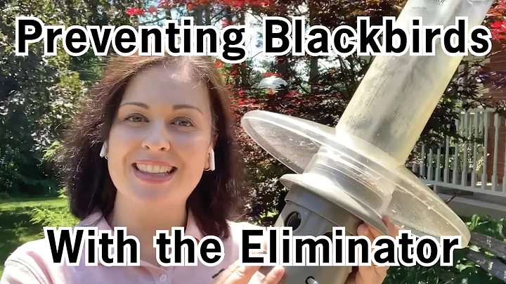 Adjustments the Eliminator to Prevent Blackbirds