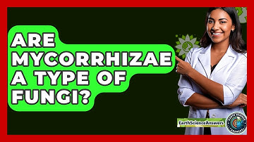 Are Mycorrhizae A Type Of Fungi? - Earth Science Answers