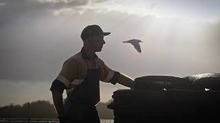 Sustaining Australia 2026 - Australia's Oyster Coast