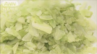 “超低温”導入した新型冷蔵庫 包丁要らずで野菜が砕ける(2024年11月14日)