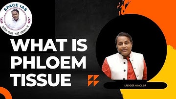 Phloem || General Science By Upendra Anmol sir SPACE IAS ACADEMY