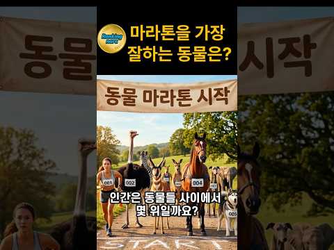 동물 마라톤 랭킹 TOP5_인간 순위 충격 주의!